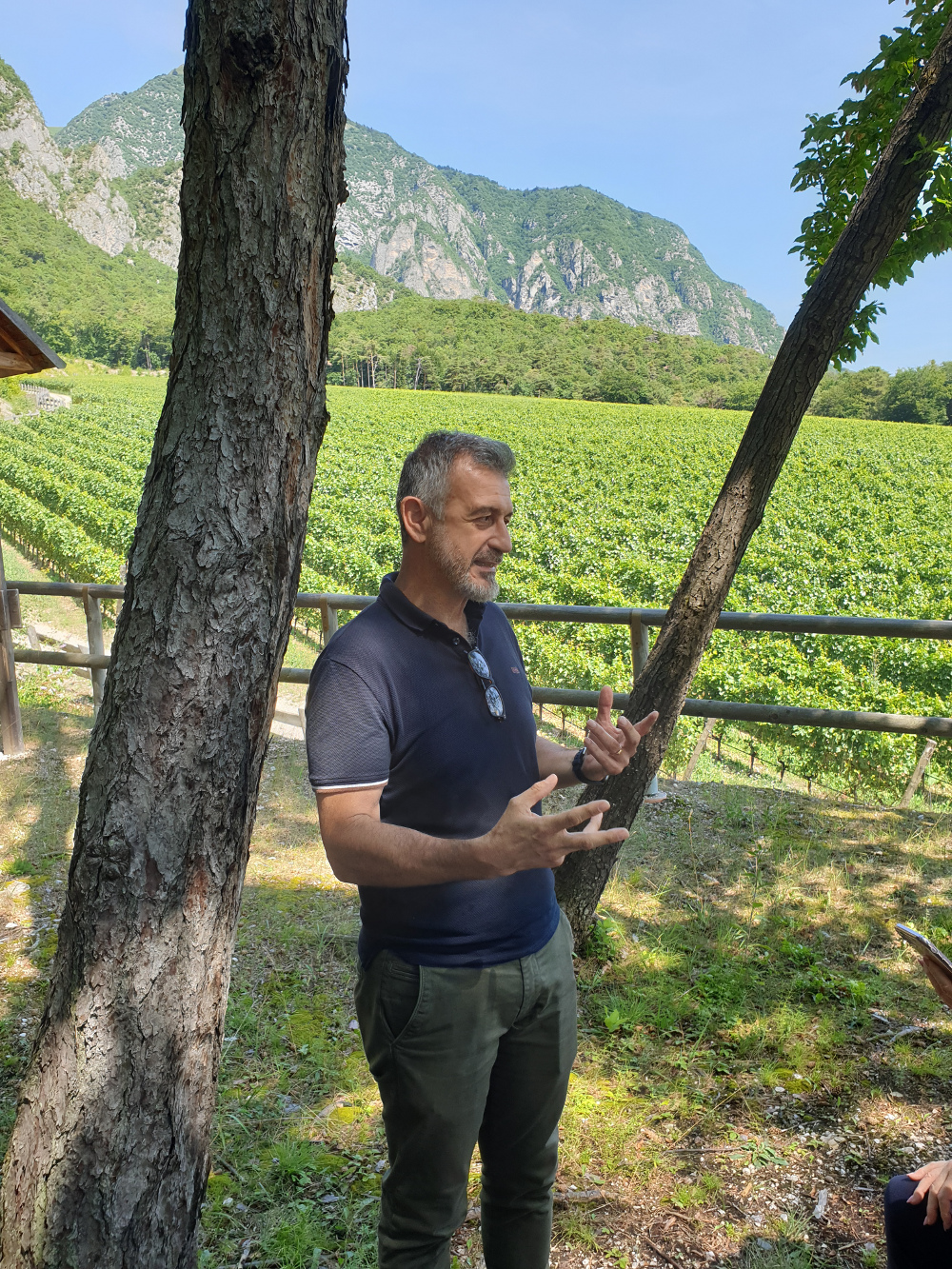 Luca Cavallaro Luca Cavallaro